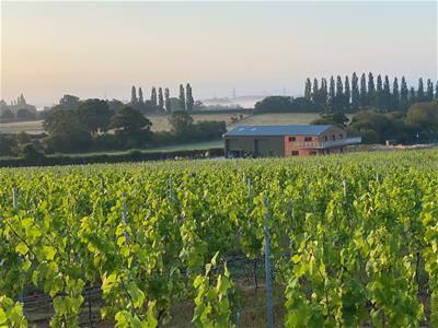 Click to view more details